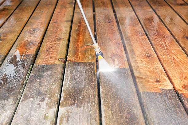 Best Roof Washing  in Horse Shoe, NC